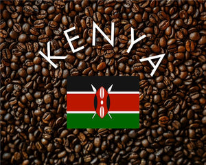 250g Kenya - PB Ngariama Kiamugumo